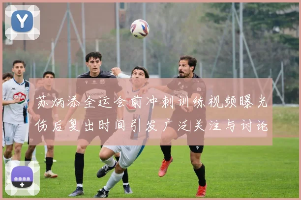 苏炳添全运会前冲刺训练视频曝光伤后复出时间引发广泛关注与讨论
