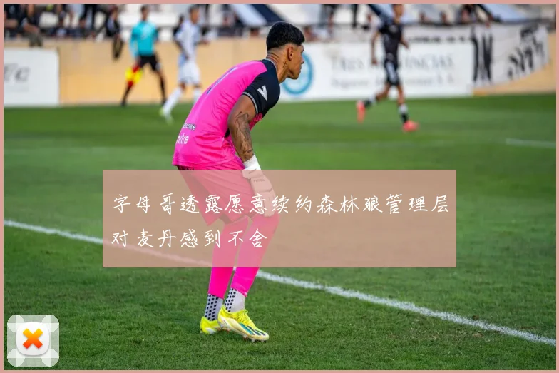 字母哥透露愿意续约森林狼管理层对麦丹感到不舍
