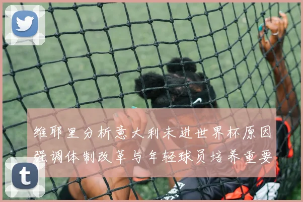 维耶里分析意大利未进世界杯原因强调体制改革与年轻球员培养重要性